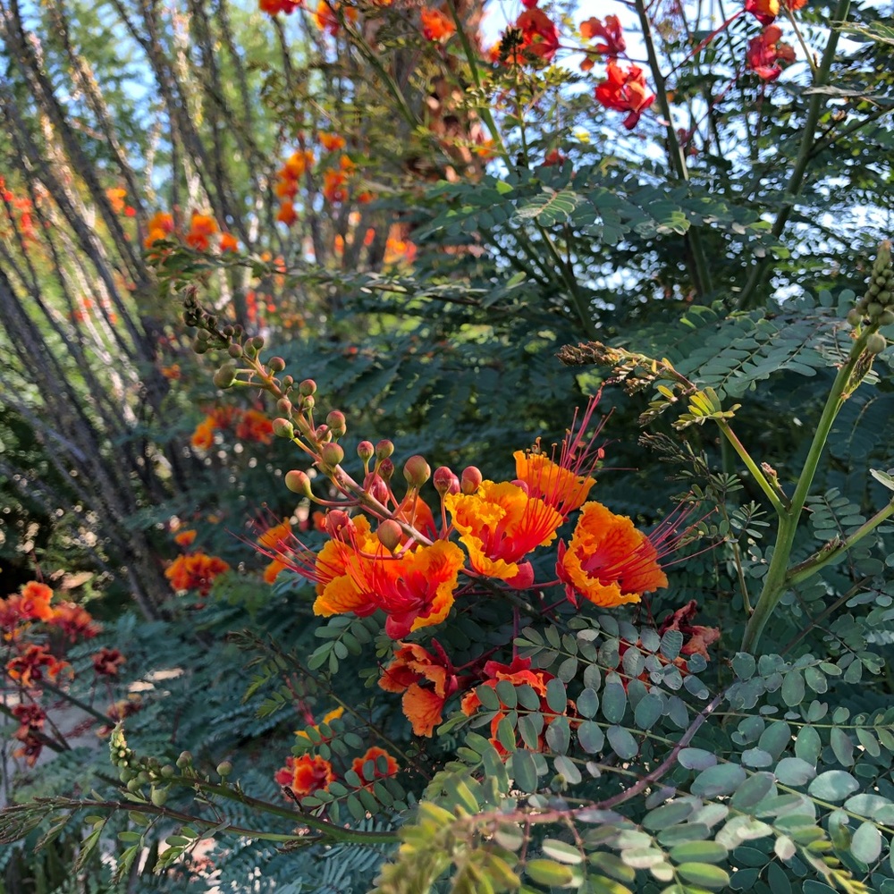 Meet your Posher, Vee